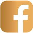 icon fb